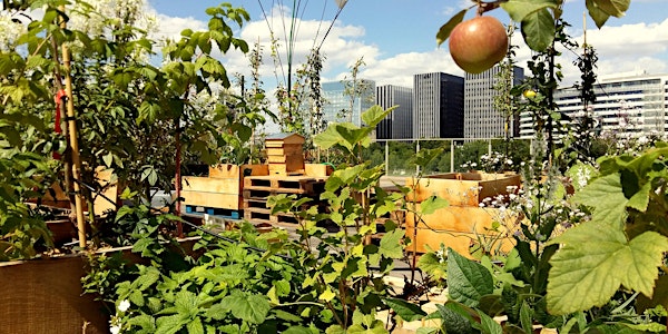 Agriculture urbaine : quels enjeux et quelles agricultures pour nos villes...