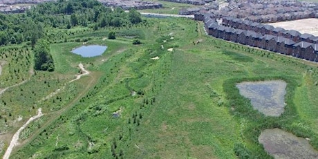 Mount Pleasant Urban Natural Heritage System Restoration & Creation Project primary image