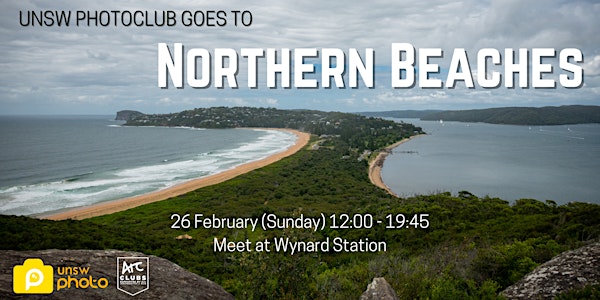Term 1 Week 2 Outing: Palm Beach & Manly Wormhole