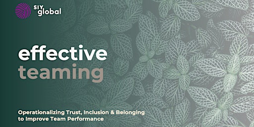 Hauptbild für SIY Effective Teaming: a mindful approach to leading/participating in teams