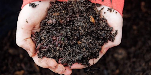 Bringing Composting to Life