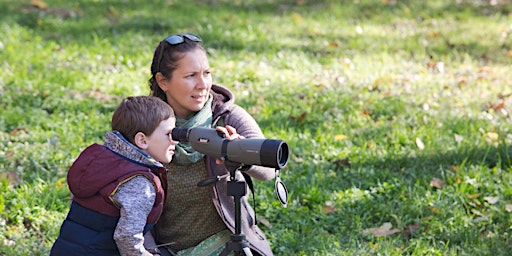 Atelier de birdwatching pentru GRUPURI primary image