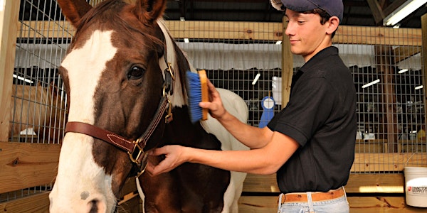 Clemson Master Equine Managers Certification (Summer 2018)