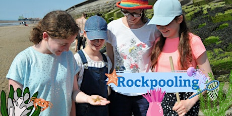 Rockpool Ramble