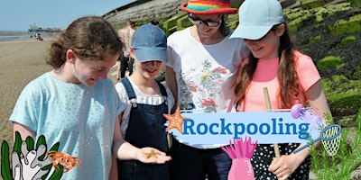 Primaire afbeelding van Rockpool Ramble