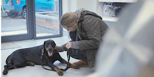 2024-Pet Loss Training Day-Veterinary Professionals-South(EXETER)