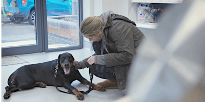 2024-Pet Loss Training Day-Veterinary Professionals-South(EXETER) primary image