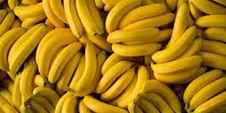 Go Bananas for Banana Bags primary image