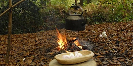 Toddler Forest Fun at Stover Country Park primary image