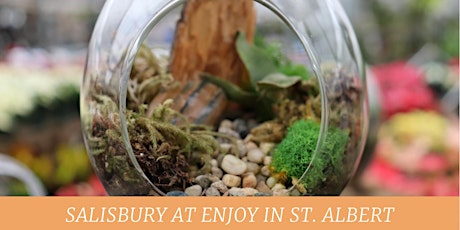 Terrarium Workshop | Salisbury at Enjoy | St. Albert