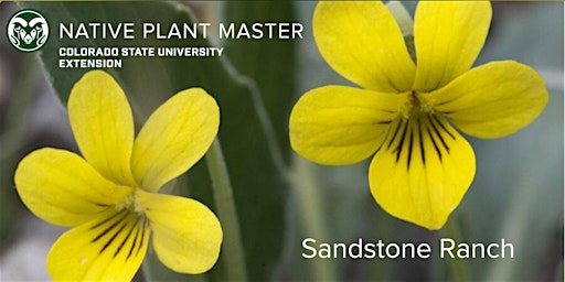 Hauptbild für 2024 NPM Course at Sandstone Ranch OS May 23, 30 & June 6 - 9:00am -2:30pm