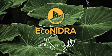 EcoNIDRA with SeaWyld (Nature Inspired Guided Yoga Nidra)
