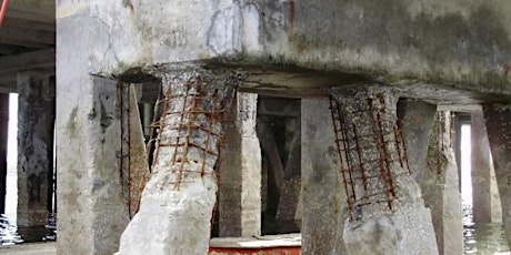 Primaire afbeelding van ICRI-NE Corrosion Protection on Concrete w/ Cathodic Protection