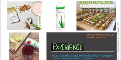 EXPERIENCE EXPERIENCE