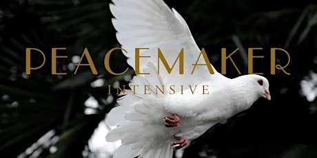 Peacemaker Intensive