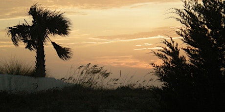 Bald Head After Dark (2026) primary image