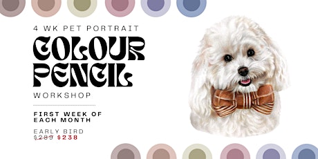 Pet Portrait Colour Pencil Workshop