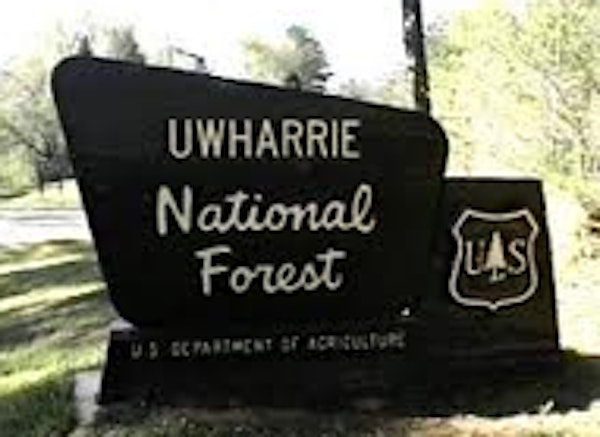 Beginner Backpacking in Uwharrie National Forest