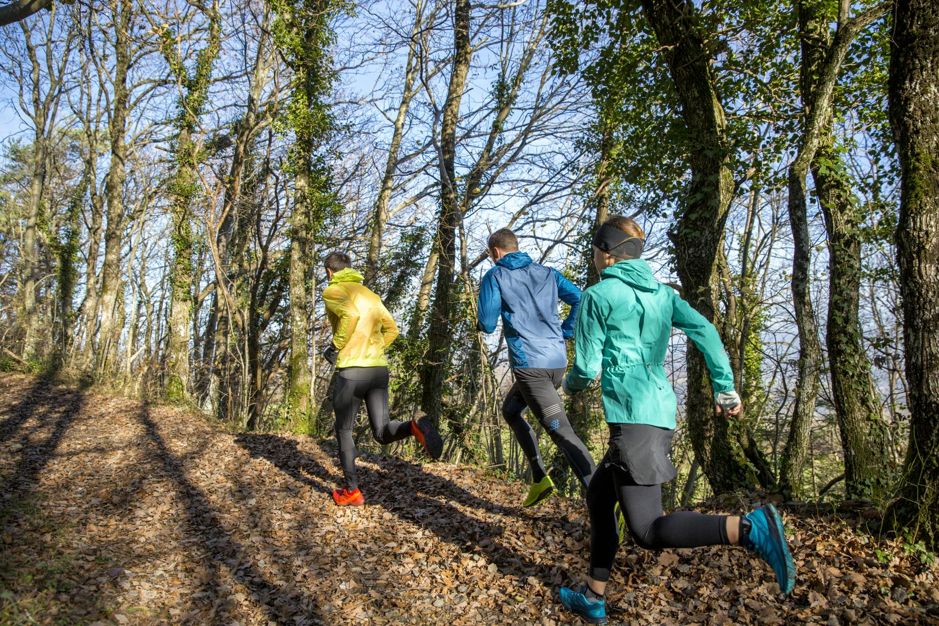 How to Trail Run. Workshop #1: What is trail running?