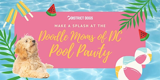 Doodle Moms of DC Pool Pawty