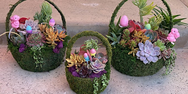 Succulent Easter Basket Workshop