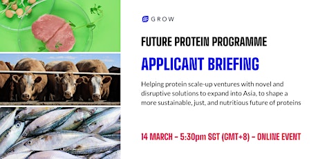 Applicant Briefing - Future Protein Programme primary image