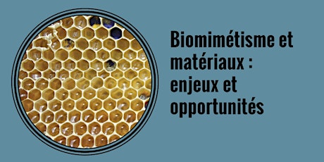 Biomimétisme et matériaux : enjeux et opportunités