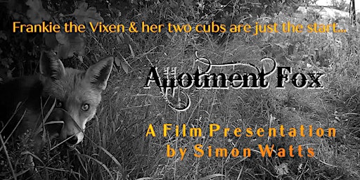 Allotment Fox - a film presentation by filmmaker Simon Watts primary image