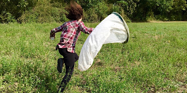 Bioblitz aux Teppes de Verbois