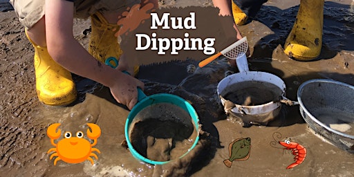 Mud Dipping primary image