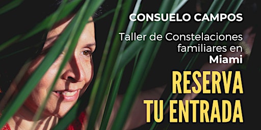 Taller Vivencial Constelaciones Familiares - Miami  13 Abril 2024 primary image