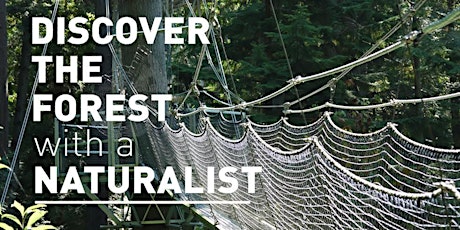 Discover the forest with a naturalist(the last session)  