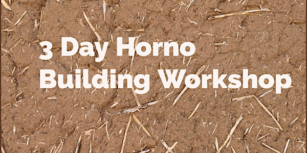 3 Day Horno Building Workshop