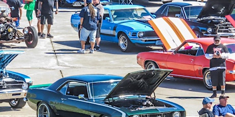 West Houston Muscle Open Car Show Benefiting  Houston Pets Alive primary image