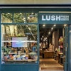 Logotipo de Lush Barcelona Centro