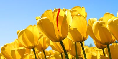 Https%3a%2f%2fcdn.evbuc.com%2fimages%2f45307285%2f170853869442%2f1%2foriginal
