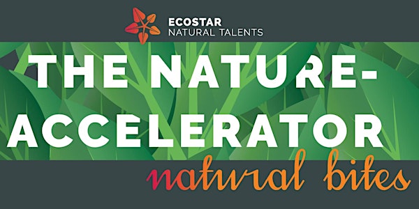 NATURAL BITES | Introduction to neuromarketing