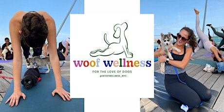 Woof Wellness Puppy Pilates with Waldo's Rescue Pen