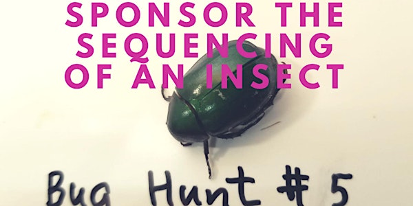 Bug Hunt Hong Kong: Sponsor the sequencing of an insect
