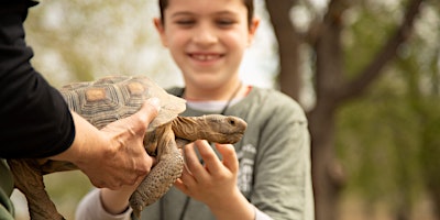 Imagem principal do evento 9th Annual Spring Nature Festival- Wind Wolves Preserve