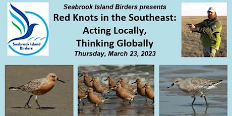 Red Knots in the Southeast US: Acting Locally, Thinking Globally primary image