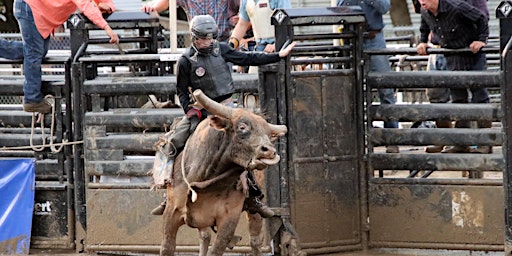 Primaire afbeelding van SCYF Bull Riding Event 2024