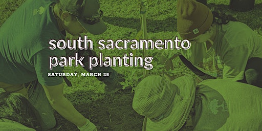 South Sacramento Park Planting