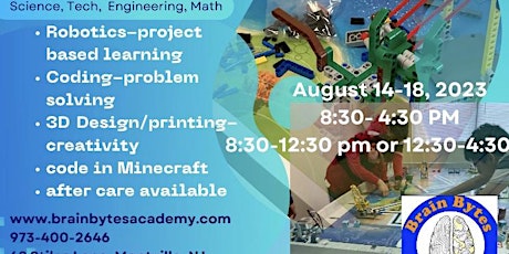 STEM Immersion Summer Camps: coding, Robotics, 3D printing