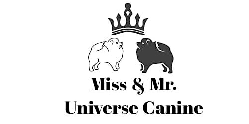 Mr. Universe Canine primary image