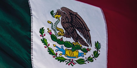 Ready For Business And Investing In Mexico?