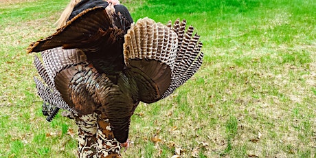 Ladies Turkey Hunting Field Excursion - Rockport