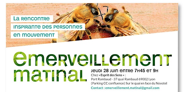 Emerveillement matinal - La communication des abeilles et de l'entreprise.