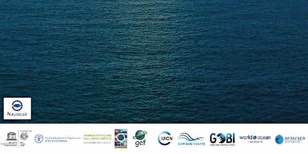 HIGH SEAS INTERNATIONAL CONFERENCE & The Challenges of the High Seas : Public Event
