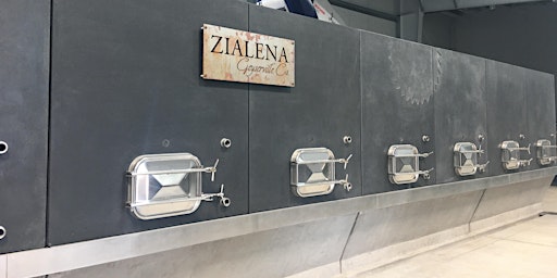 Zialena Winemaker Series - In the Cellar with Winemaker Mark Mazzoni. primary image